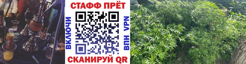 Где продают наркотики Уфа Гашиш  COCAIN  Псилоцибиновые грибы  Марихуана  МЕФ 