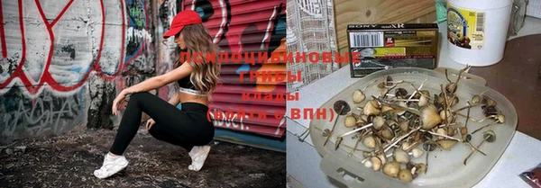 метадон Няндома