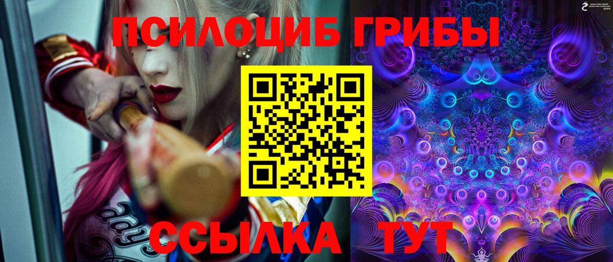 Уфа  Псилоцибиновые грибы Psilocybine cubensis  Вход с VPN 