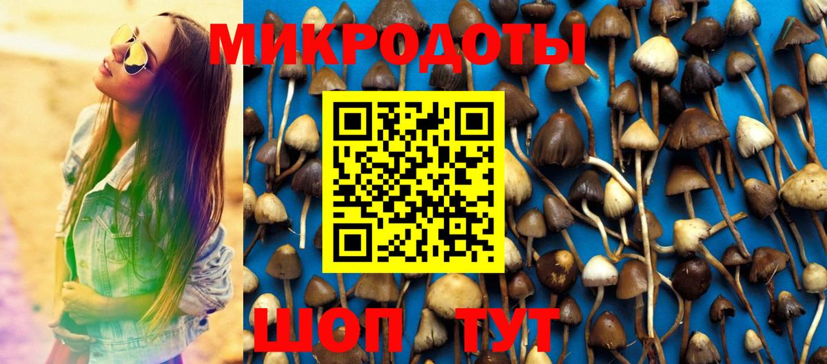 Псилоцибиновые грибы Уфа