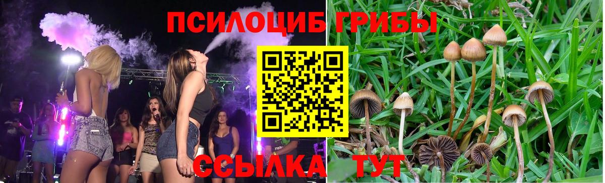 Псилоцибиновые грибы Cubensis Уфа