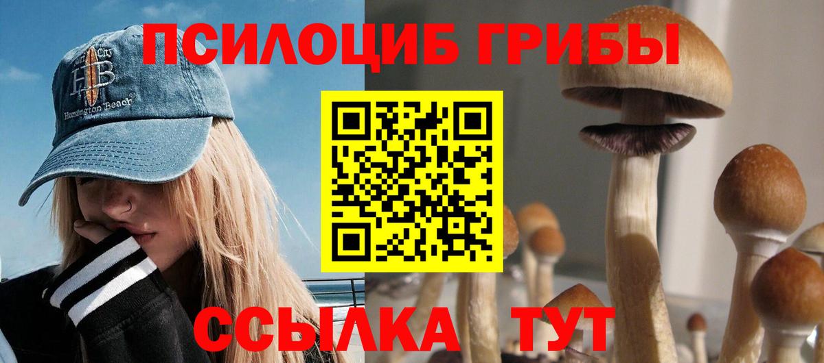 Галлюциногенные грибы прущие грибы Уфа